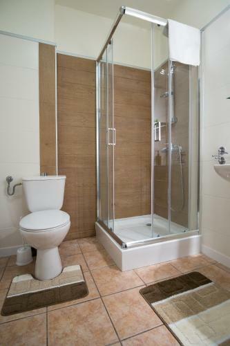 Apartament Negro Centrum
