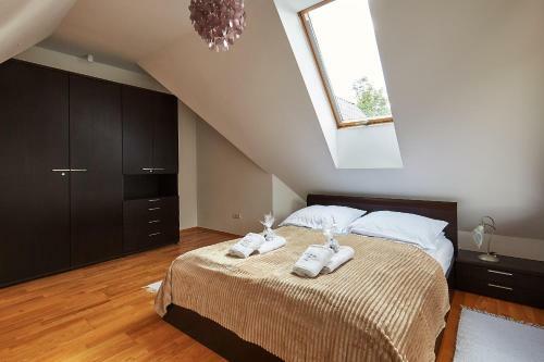 Apartament Alex