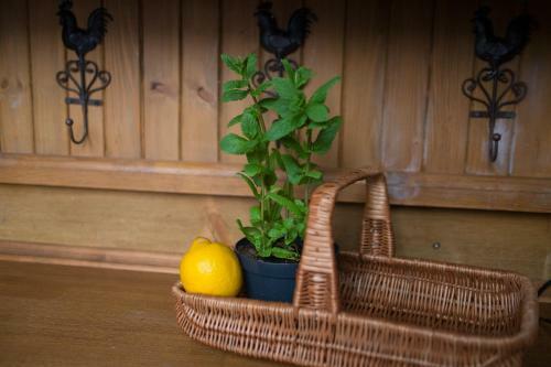 Apartamento Pod Dachem Zakopane