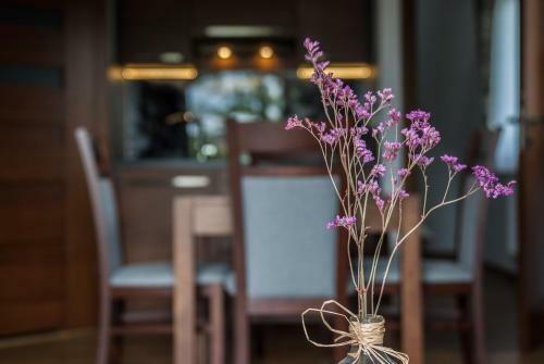 Apartamento Willa Kasztan