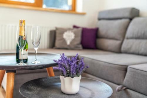Nosal Apartment