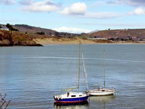 Bwythyn-y-wennol