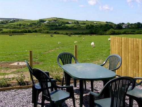 Bwythyn-y-wennol