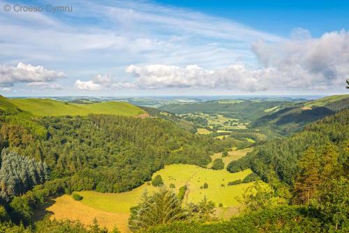 Blaenilar