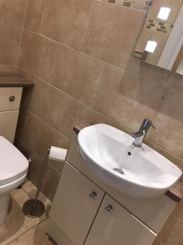 Apartamento Llys Bedw - Birch Court
