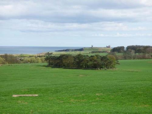 The Lookout, Alnwick