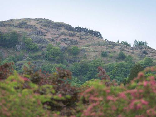 Glenmore Cottage