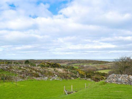 Cadwgan