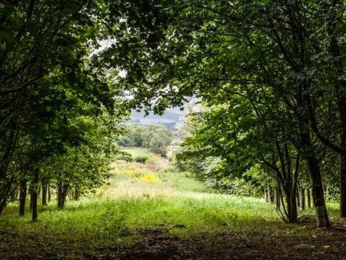Holly Lodge, Appleby-in-westmorland