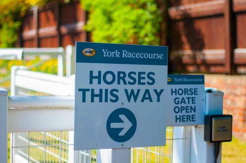 Albergue Stableside @ York Racecourse