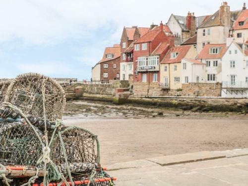 Starfish, Whitby