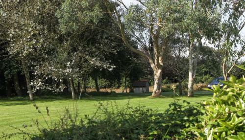 Bed & Breakfast Treweens