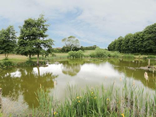 Pond View, Thirsk