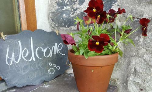 Bed & Breakfast Nant Yr Onnen