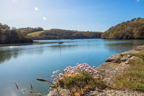 Ruan Dinas
