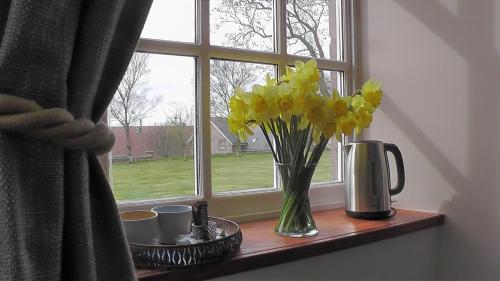 Bed & Breakfast Wagtail Lodge
