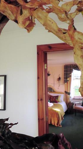 Bed & Breakfast Wagtail Lodge
