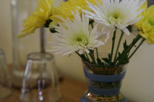 Meadowbank House Bed And Breakfast
