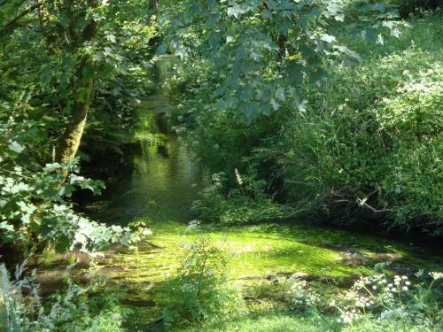 Lovely Cottage In Tavistock Near Devon's Nature Reserve