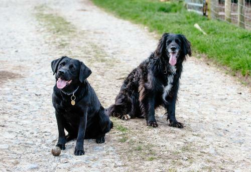 Bed & Breakfast Bondcroft Farm
