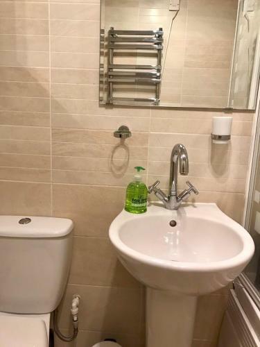 Cippenham Apartment