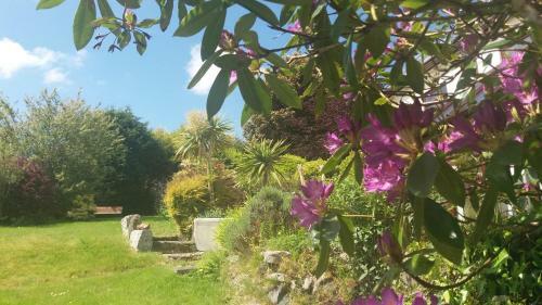 Bed & Breakfast Rescorla Farmhouse