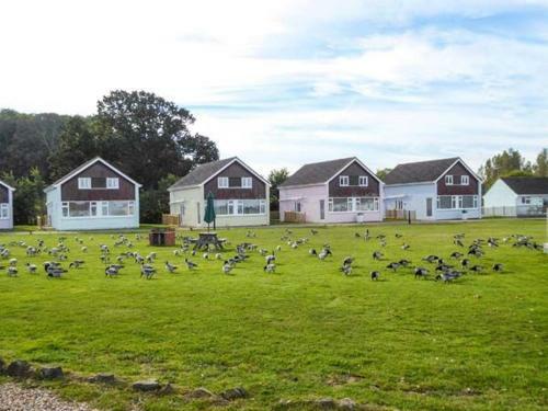 Salterns 2, Seaview III