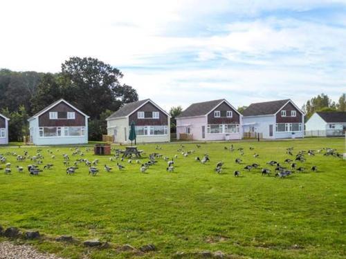 Salterns 3, Seaview III