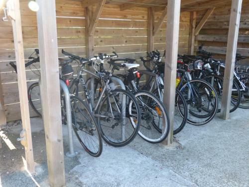 Land's End Hostel, Trevescan