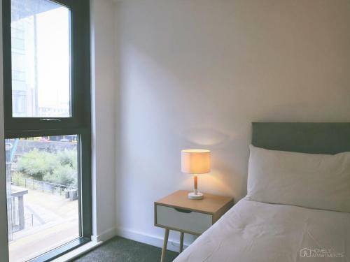 Homely Serviced Apartments - Blonk St