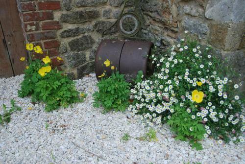 The Alders Bed & Breakfast