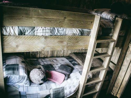 Stellar Safari Lodge, Rhayader