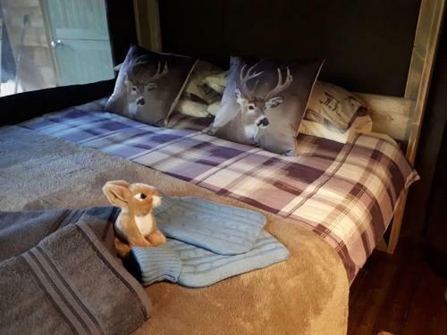 Stellar Safari Lodge, Rhayader