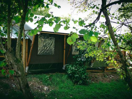 Stellar Safari Lodge, Rhayader