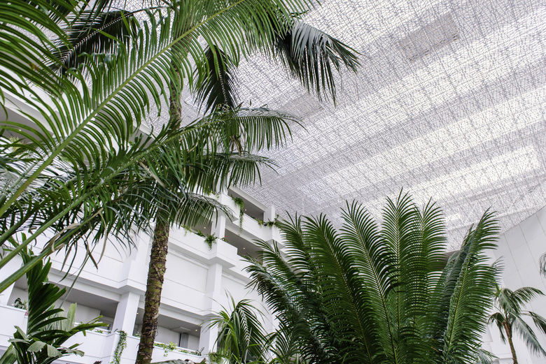 Hotel Vulcano