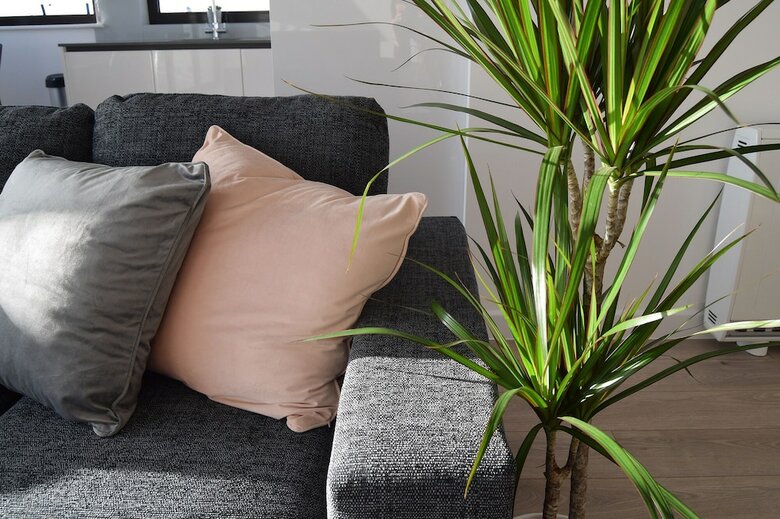 Apartamento Morland House