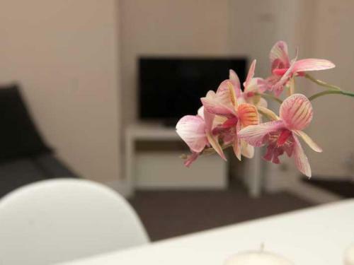 Allure City Apartment