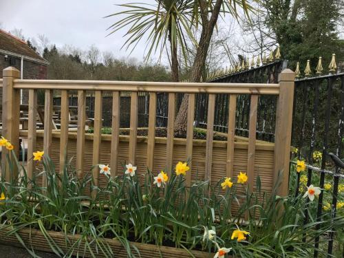 The Dillwyn Arms Hotel