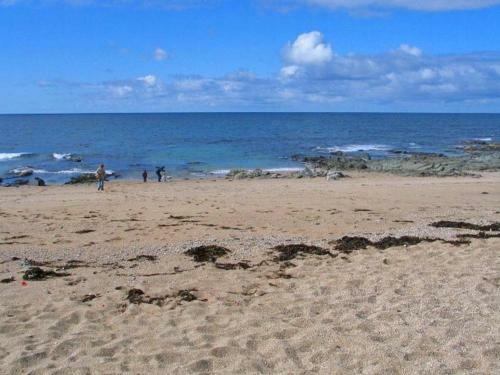 Sea Star, Porthleven