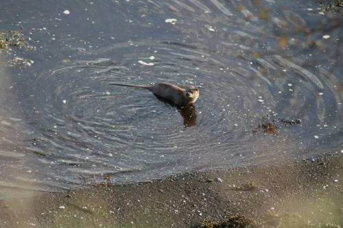 Air An Oir - Skye Self Catering