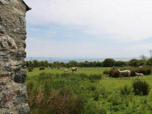 Cegin Foch, Pwllheli
