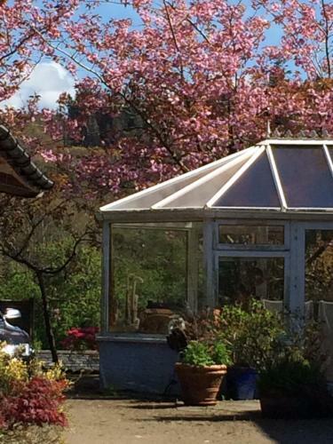 Hostal Cherry Tree Cottage