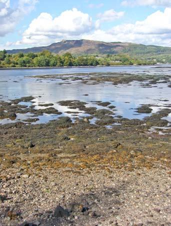 Dundonald Landing