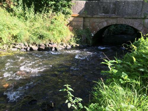 Maesbury Riverside