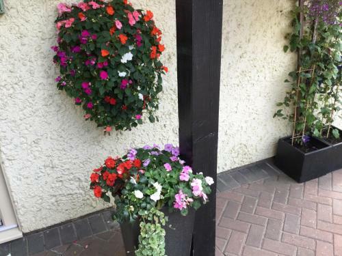 Apartment A High Hedges