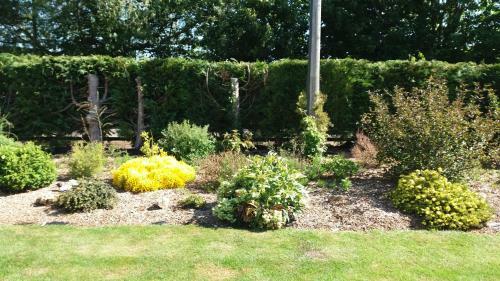 Hostal Conifer Lodge