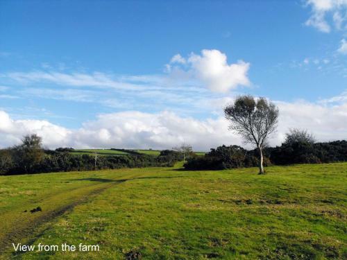 Heale Farm Cottage, Parracombe