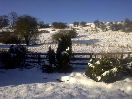 Mill House B&B
