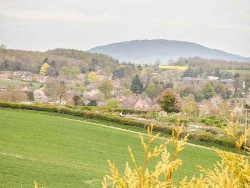Wenlock View