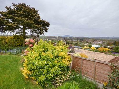 Wenlock View